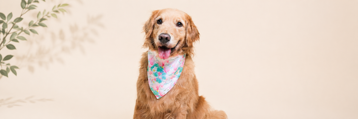Bandana