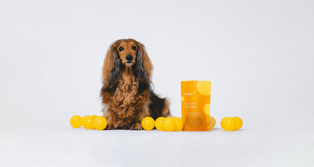 Supplements