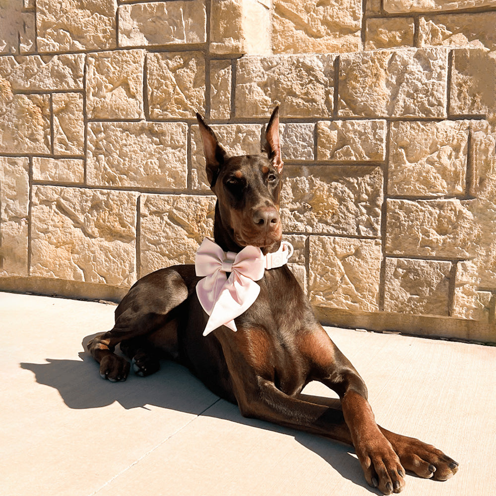 Furry Muse Satin Collar Bow Blossom