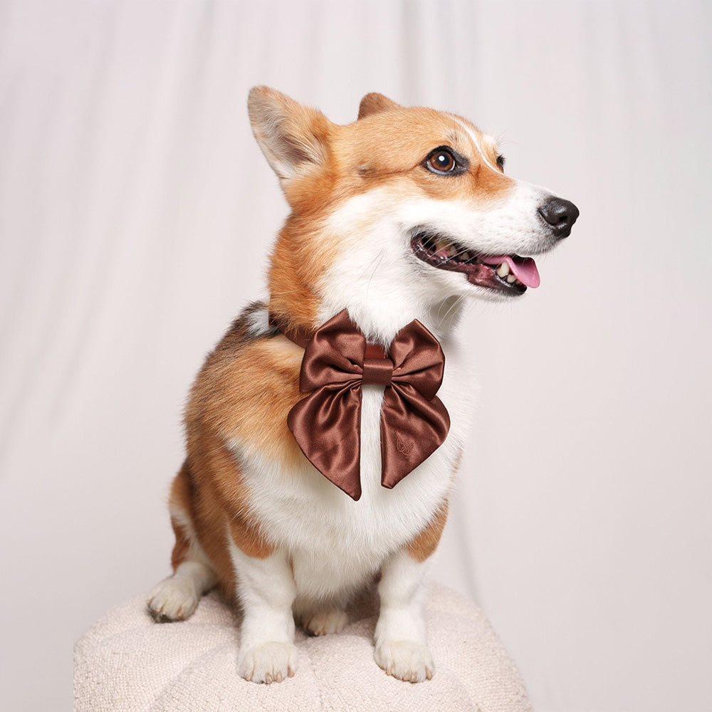Furry Muse Satin Collar Bow Cocoa