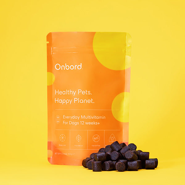 Onbord Everyday Multivitamin For Dogs 12 Weeks+ (Expiry: 26/06/26)