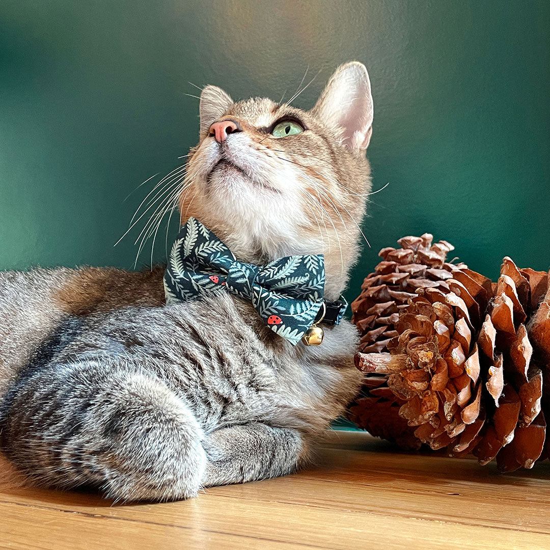 Made By Cleo Eden Bow Tie Cat Collar