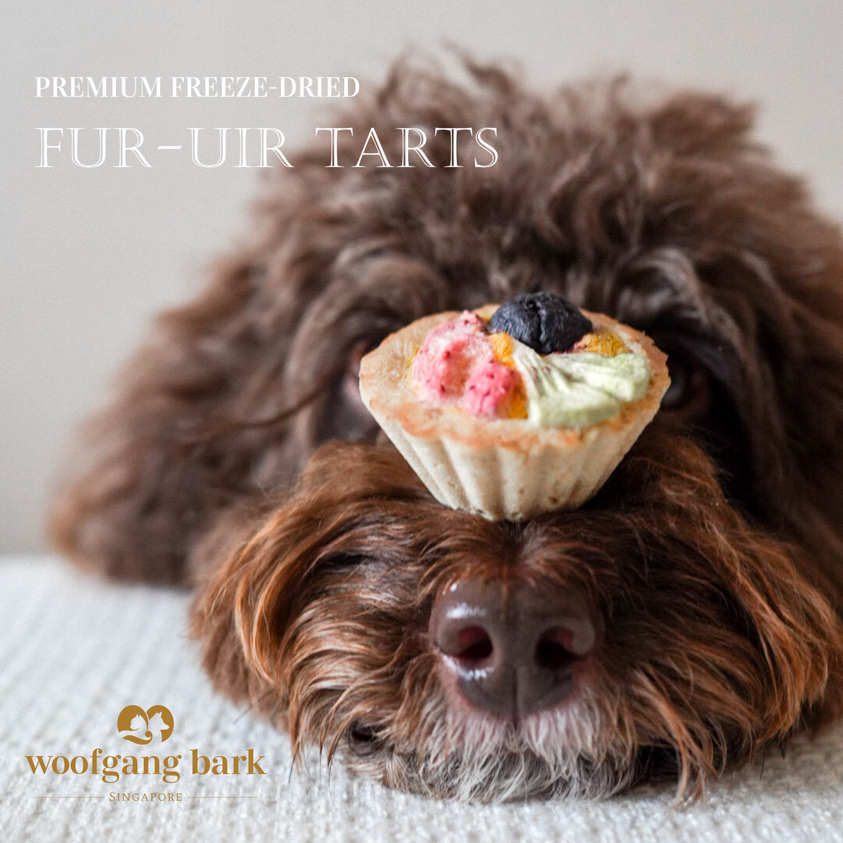 Woofgang Bark Fur-uit Tarts