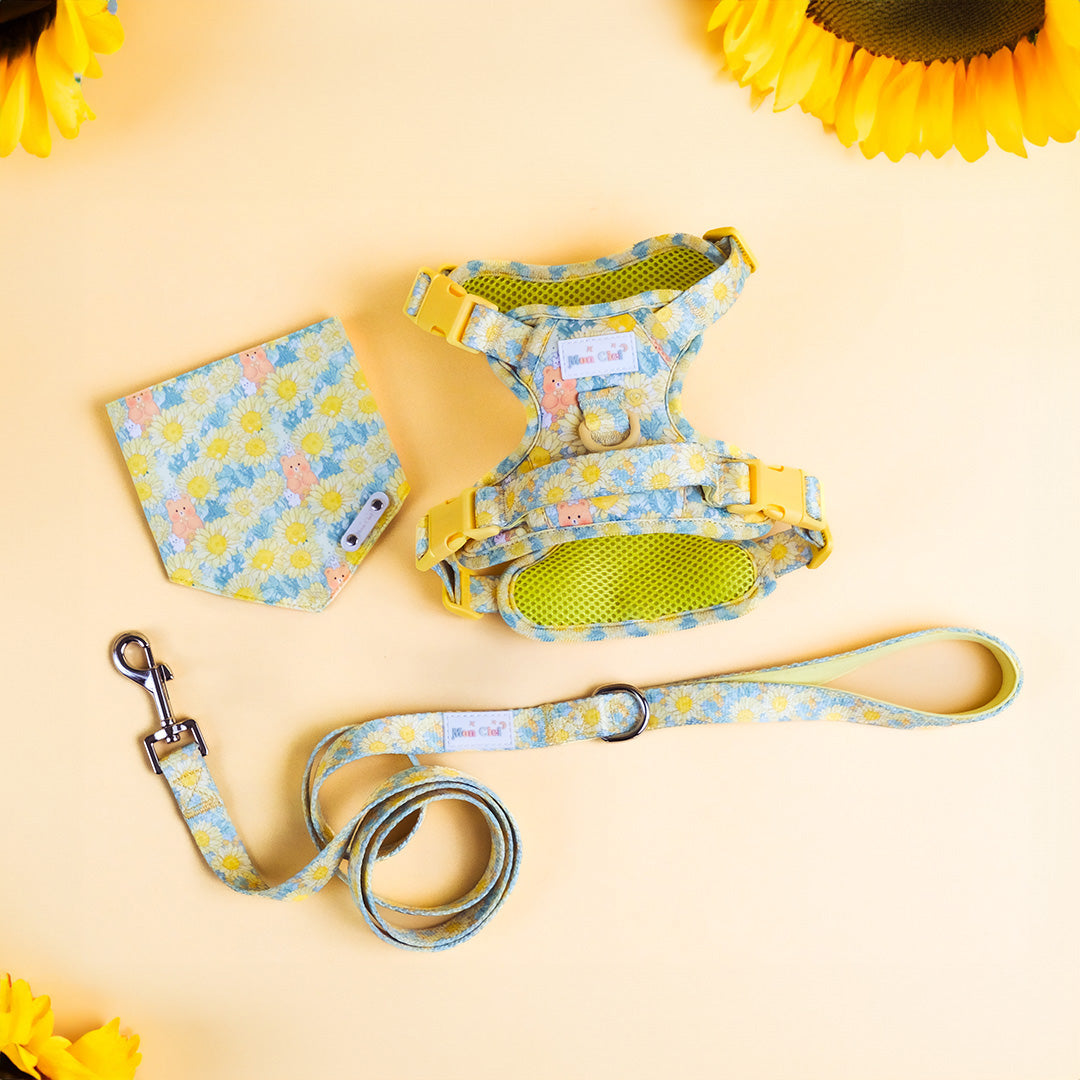 Mon Ciel Bundle Set |Mix & Match|