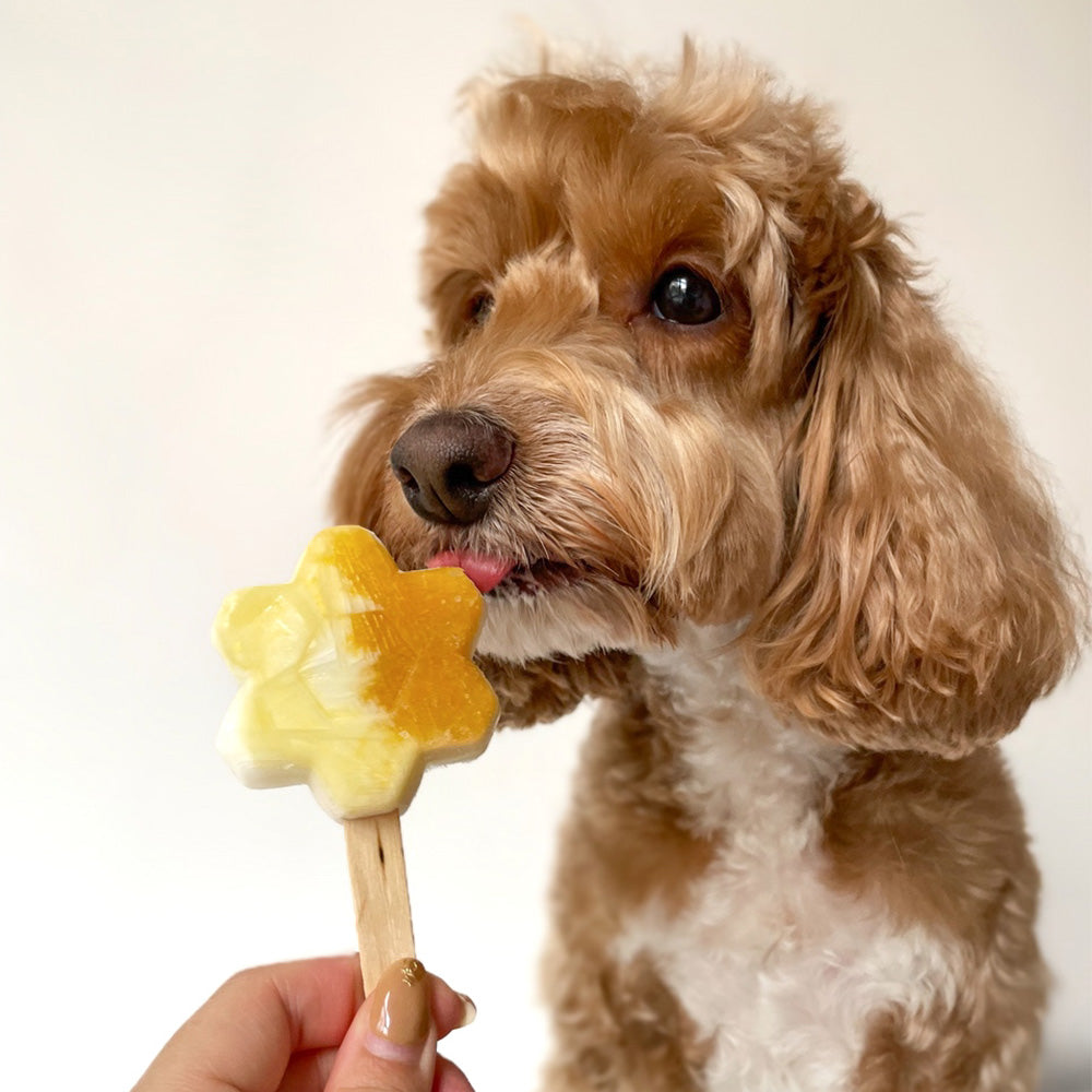 Licked. Mango Madness Mini Pawpsicles