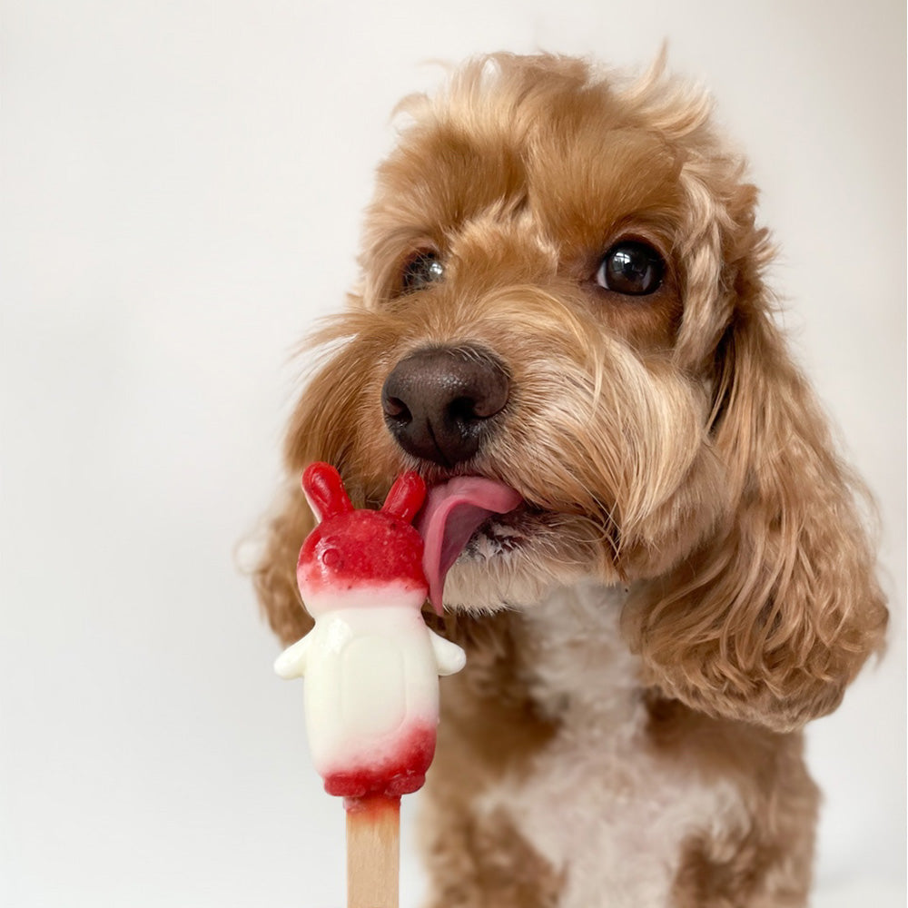 Licked. Strawberry Milk Mini Pawpsicles