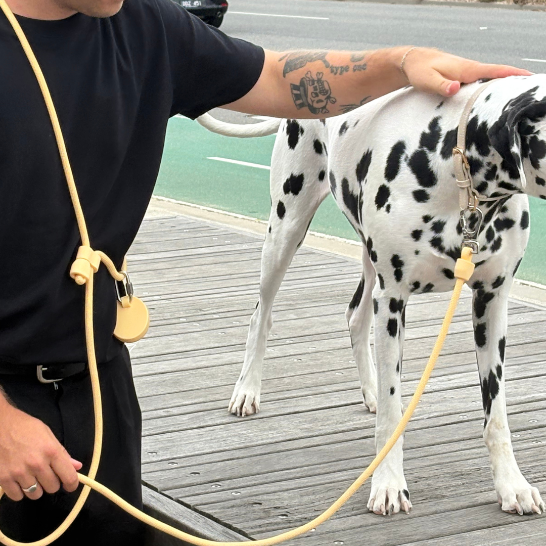 ST ARGO Hands-free Leash | Butter