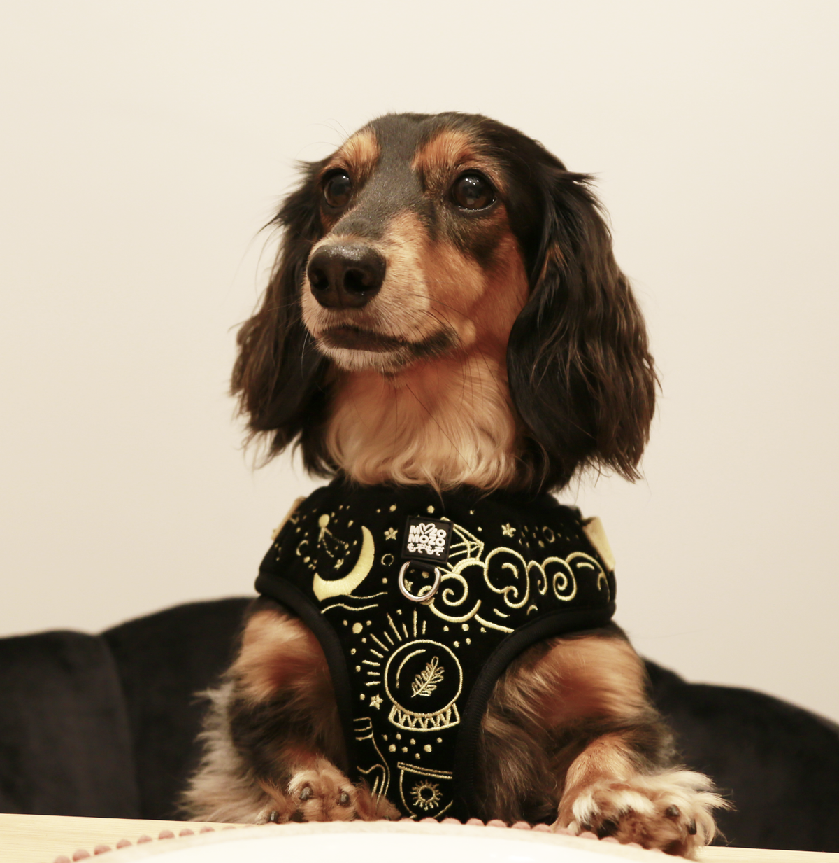 MozoMozo Magical Mysterious Harness