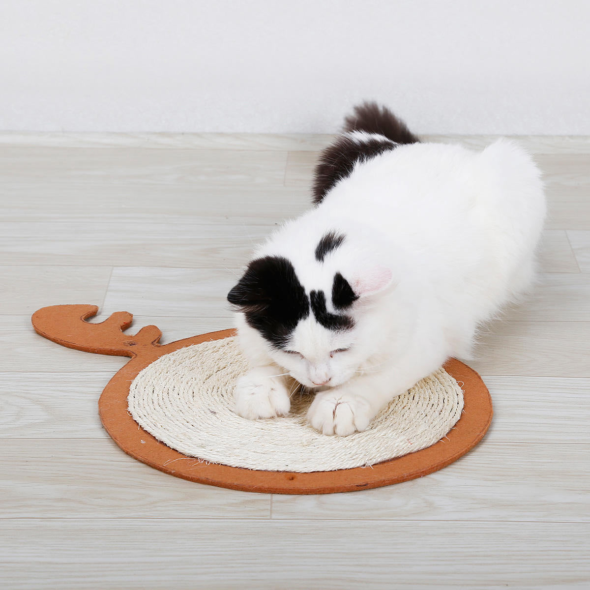 集体鲁道夫猫抓板