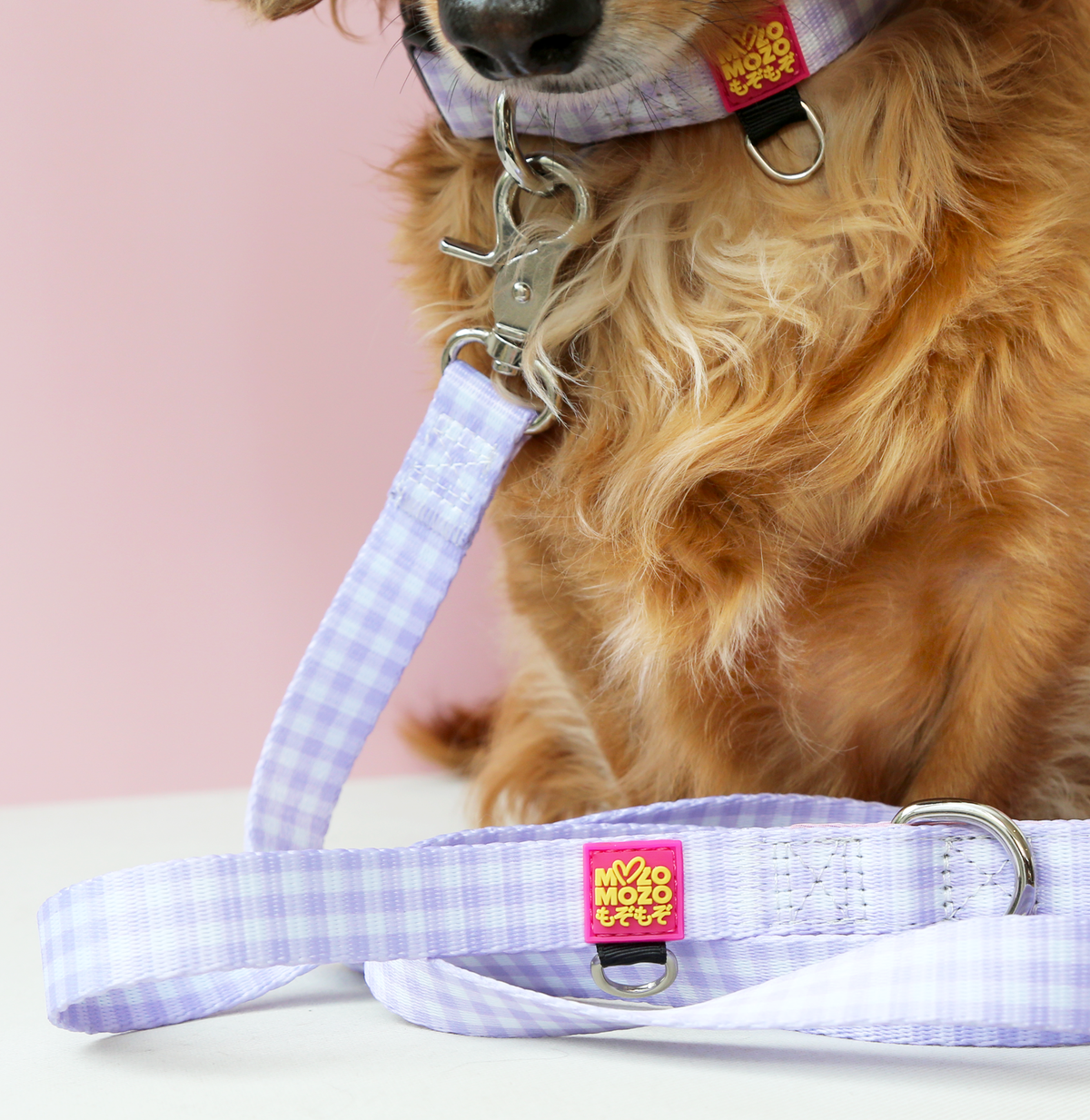 MozoMozo Barby Gingham Leash