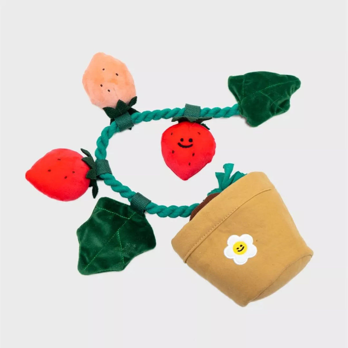 The Collective Fraise Sniffy Toy