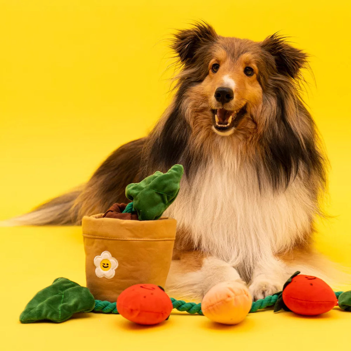 The Collective Fraise Sniffy Toy