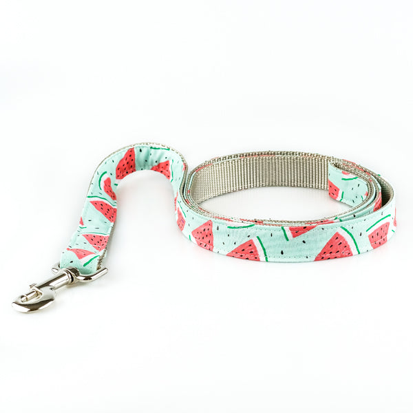 罗孚精品店夏季牵引绳