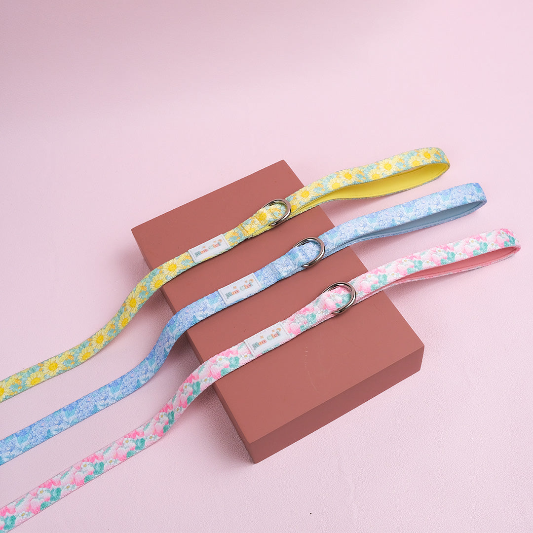 Leash