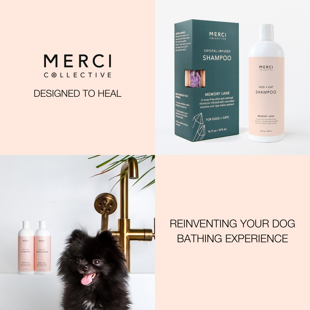 Merci Collective Memory Lane 洗发水 | 紫水晶