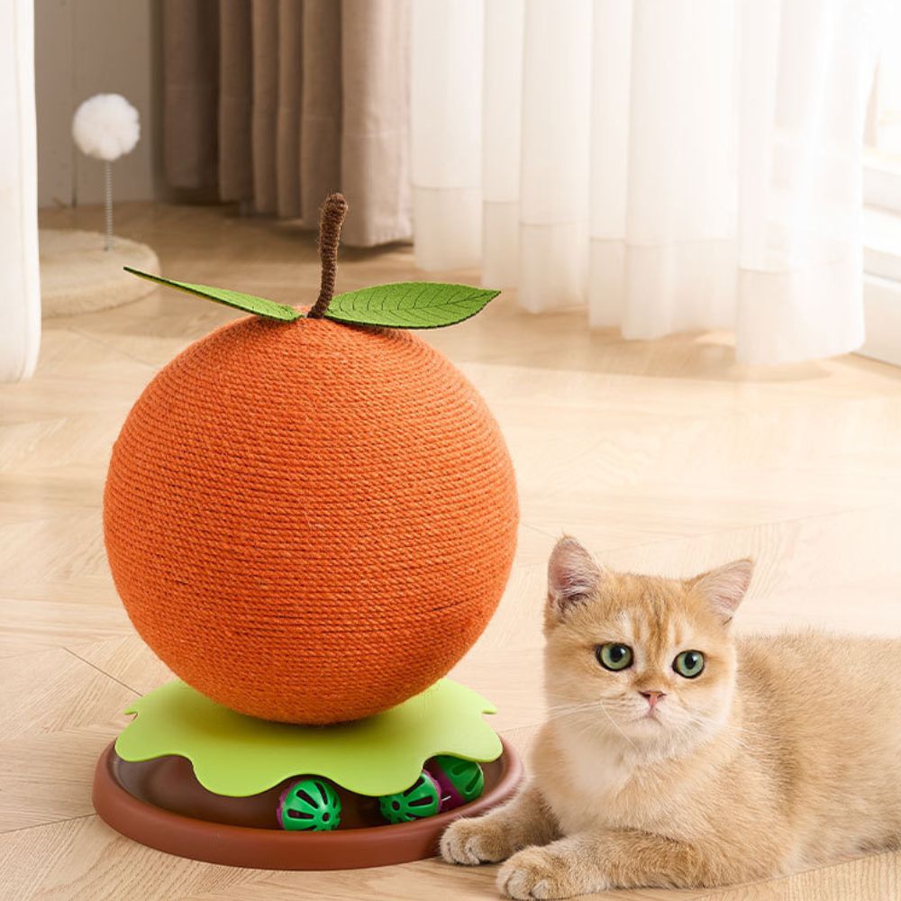 集体金橘猫抓板