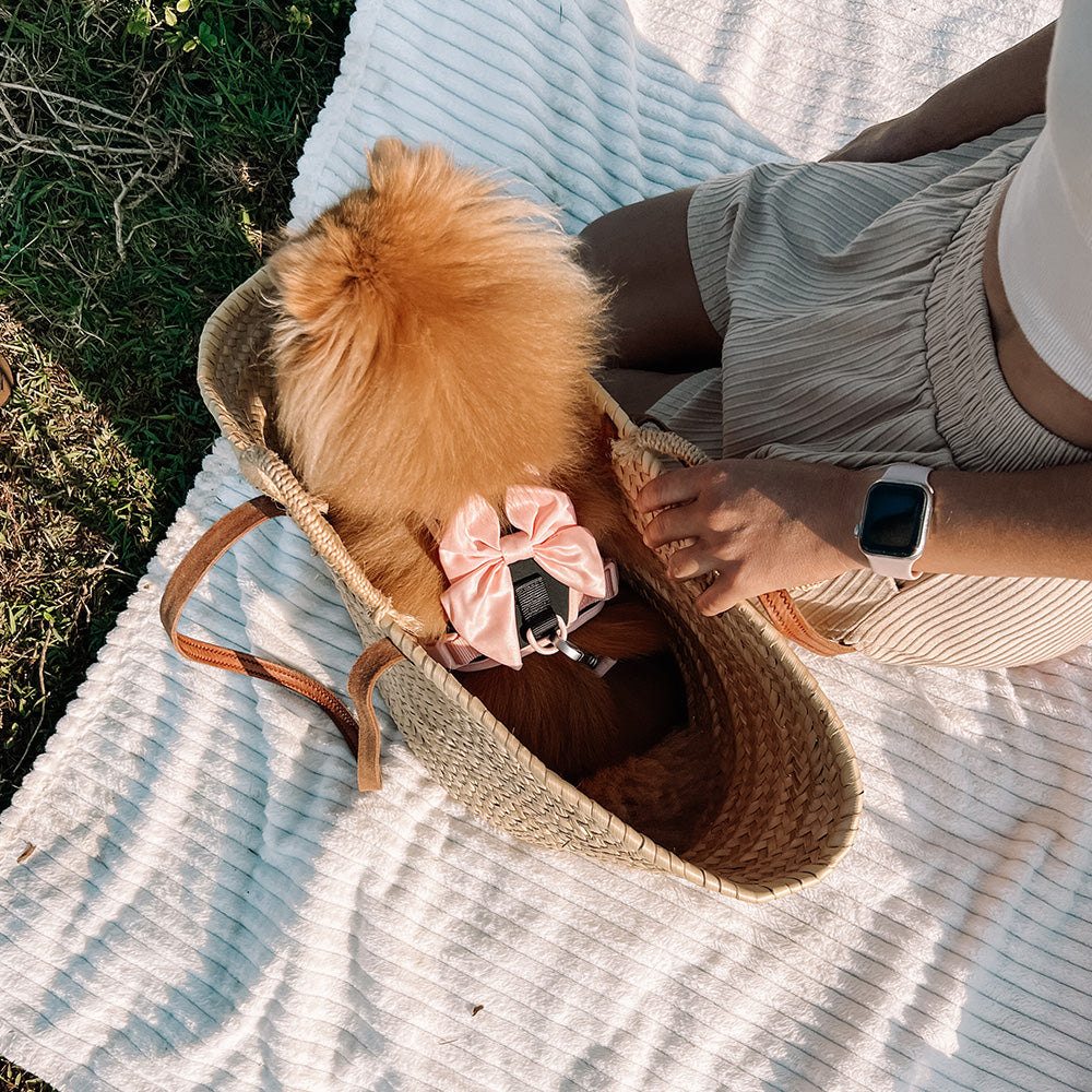 Furry Muse Wander! Bow Harness Ballerina