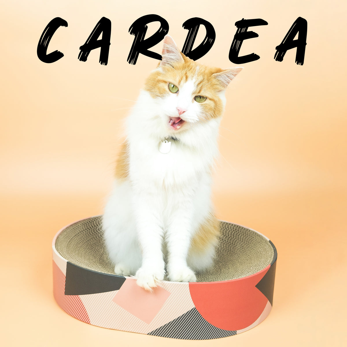 The Collective Cardea Cat Scratcher