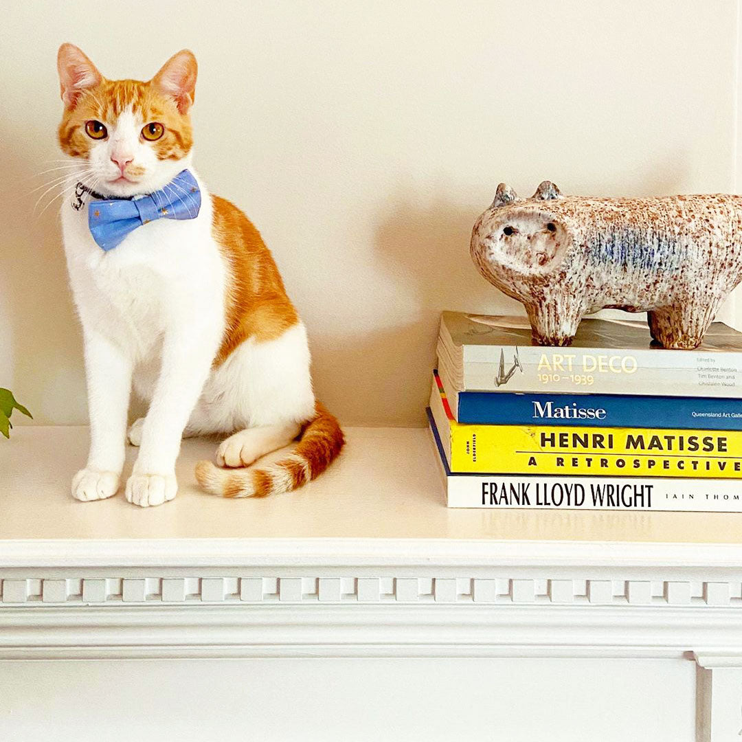 Made By Cleo Dusk Bow Tie Cat Collar