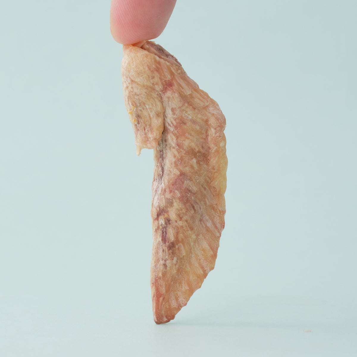 WildChow 鸡翅尖