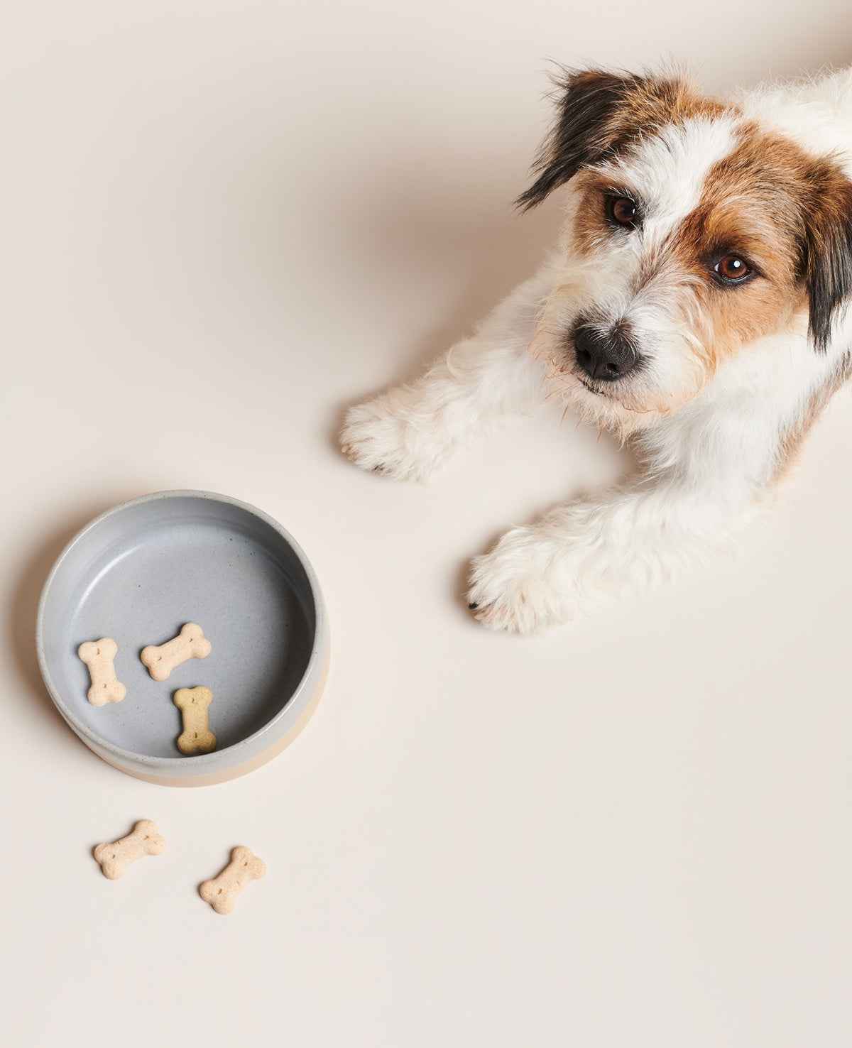 帕内斯灰色陶瓷食物碗