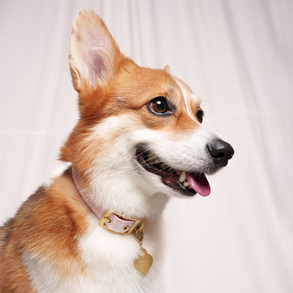 Furry Muse Wander! Waterproof Collar 2.0 Blossom Gingham
