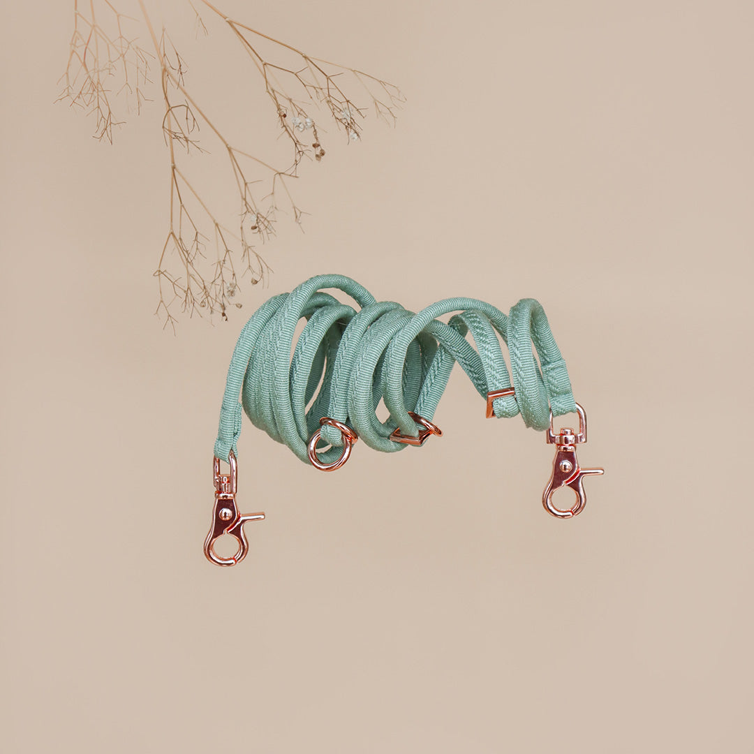 Linécru LINJE || convertible fine leash