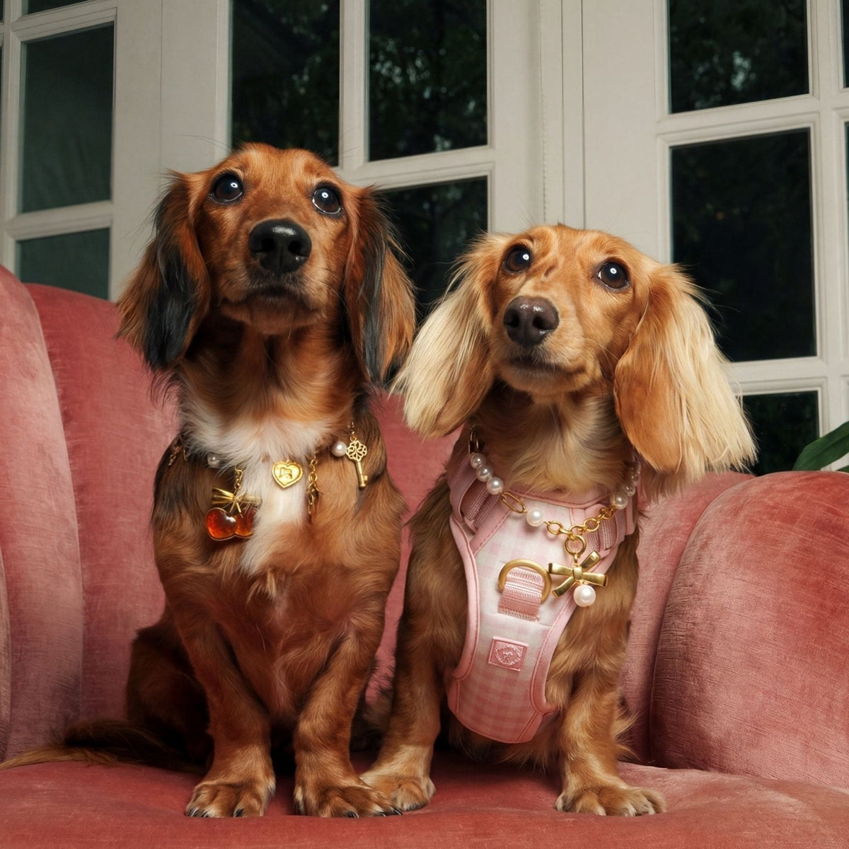 Furry Muse Wander! Bow Harness2.0 Blossom Gingham