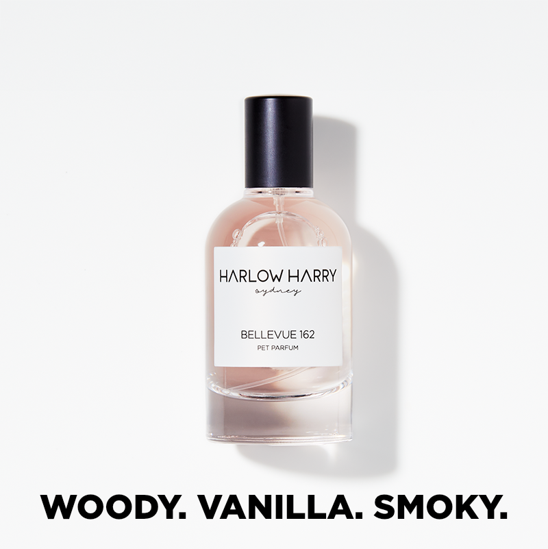 Harlow Harry Pet Parfum Bellevue 162